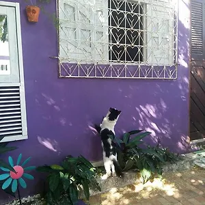 Albergue Margo, Natal